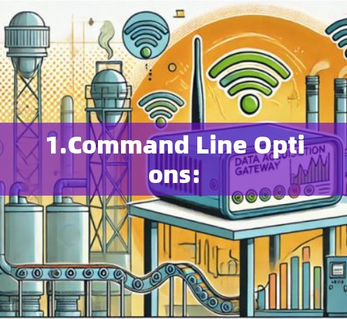 1.Command Line Options: