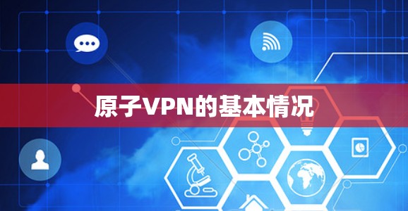 原子VPN的基本情况 原子VPN的基本情况