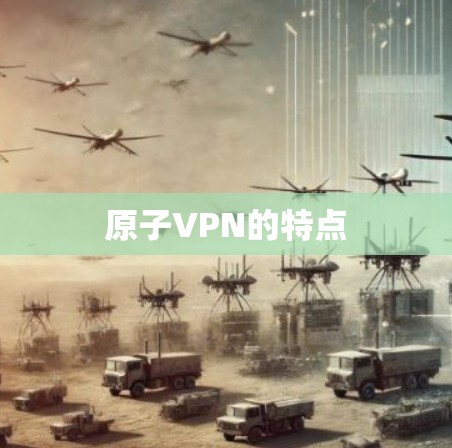 原子VPN的特点