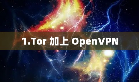 1.Tor 加上 OpenVPN 1.Tor 加上 OpenVPN