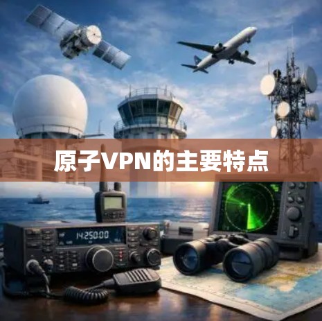 原子VPN的主要特点