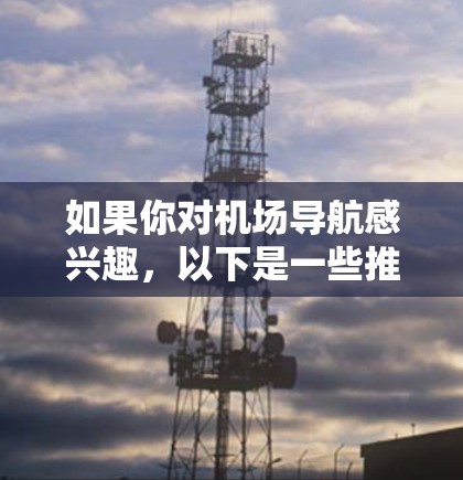 如果你对机场导航感兴趣,以下是一些推荐的工具 如果你对机场导航感兴趣,以下是一些推荐的工具