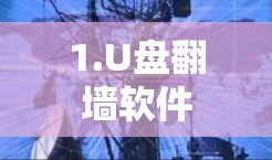 1.U盘翻墙软件 1.U盘翻墙软件