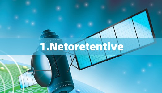 1.Netoretentive 1.Netoretentive