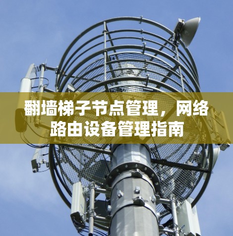 翻墙梯子节点管理,网络路由设备管理指南 翻墙梯子节点管理,网络路由设备管理指南