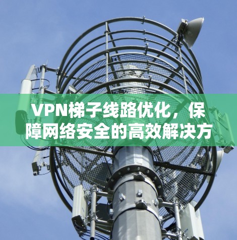 VPN梯子线路优化，保障网络安全的高效解决方案