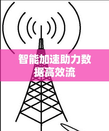 智能加速助力数据高效流