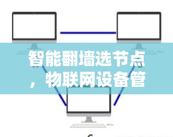 智能翻墙选节点，物联网设备管理的新解决方案