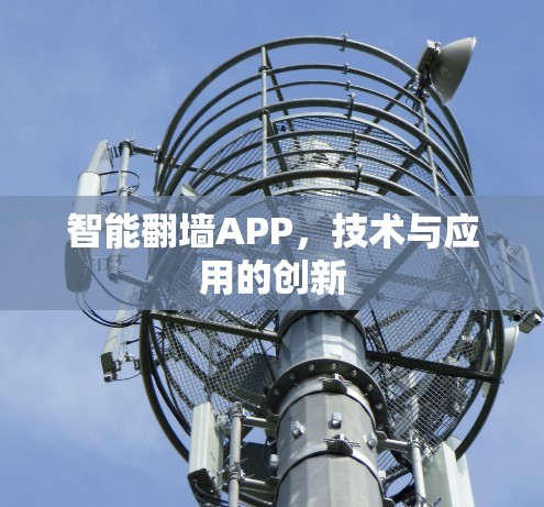 智能翻墙APP，技术与应用的创新