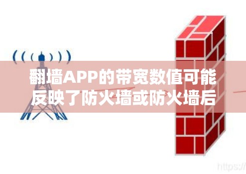 翻墙APP的带宽数值可能反映了防火墙或防火墙后的带宽设置，尽管看起来较低，但通过调整防火墙设置和端口配置，可以提升带宽。以下是一些步骤和方法