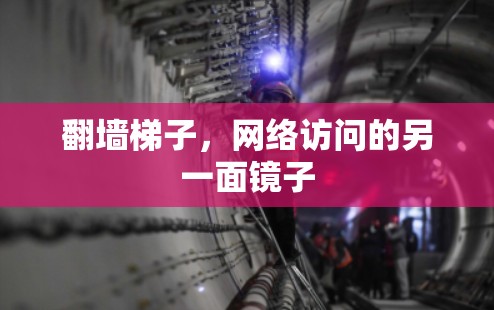 翻墙梯子，网络访问的另一面镜子