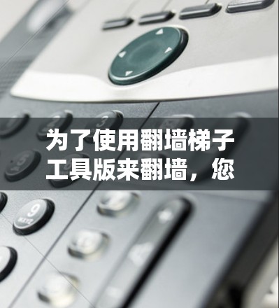 为了使用翻墙梯子工具版来翻墙，您可以按照以下步骤操作