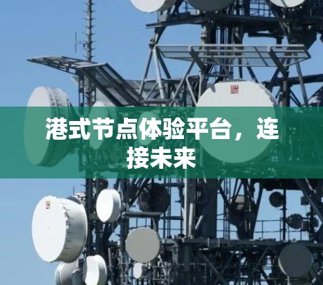 港式节点体验平台，连接未来