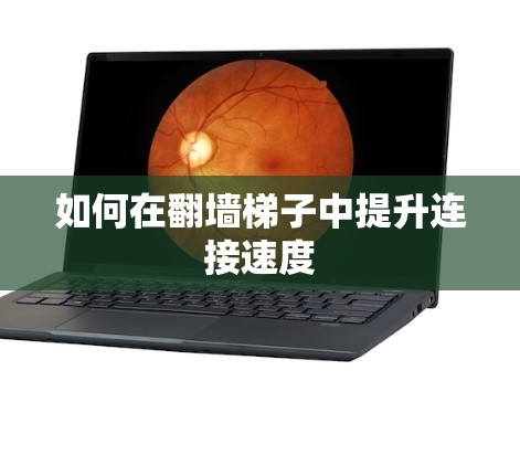 如何在翻墙梯子中提升连接速度 如何在翻墙梯子中提升连接速度
