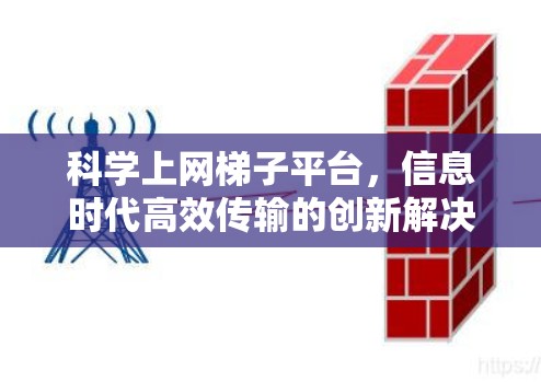 科学上网梯子平台,信息时代高效传输的创新解决方案 科学上网梯子平台,信息时代高效传输的创新解决方案