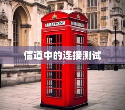 信道中的连接测试 信道中的连接测试