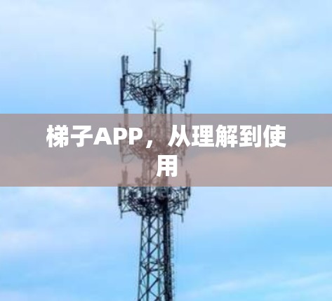 梯子APP,从理解到使用 梯子APP,从理解到使用
