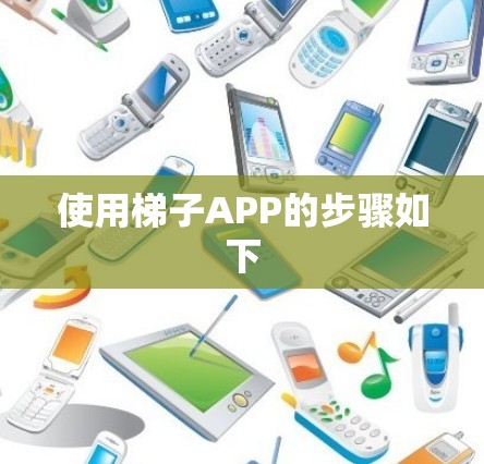 使用梯子APP的步骤如下 使用梯子APP的步骤如下