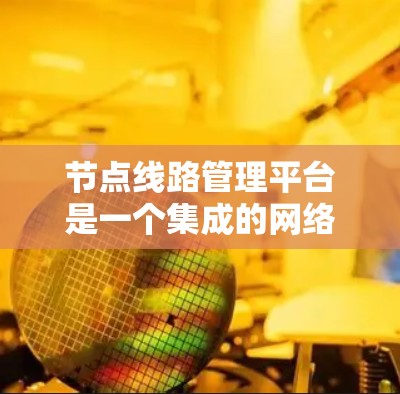 节点线路管理平台是一个集成的网络管理工具，旨在管理网络中的节点，包括服务器、终端设备和物理设备。它通过多种功能模块支持节点的管理、监控、安全和扩展，确保网络的稳定和高效运行。以下是对该平台的详细分析