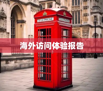 海外访问体验报告 海外访问体验报告