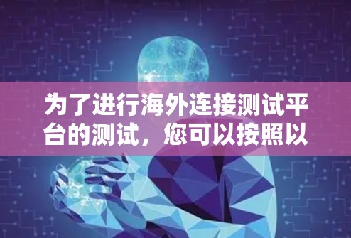 为了进行海外连接测试平台的测试，您可以按照以下步骤进行