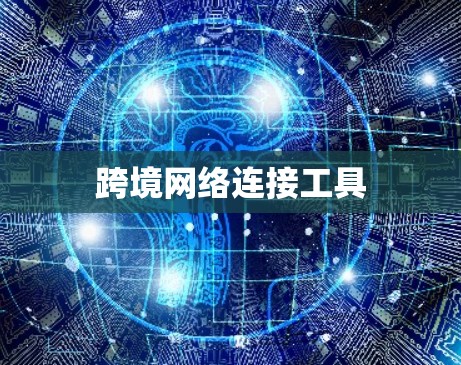 跨境网络连接工具 跨境网络连接工具