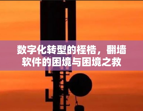 数字化转型的桎梏,翻墙软件的困境与困境之救 数字化转型的桎梏,翻墙软件的困境与困境之救