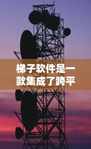 梯子软件是一款集成了跨平台功能的桌面应用软件,通过梯子技术实现不同操作系统之间的无缝集成。以下是梯子软件的主要功能模块及其介绍 梯子软件是一款集成了跨平台功能的桌面应用软件,通过梯子技术实现不同操作系统之间的无缝集成。以下是梯子软件的主要功能模块及其介绍